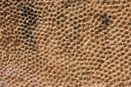 A pattern engraved in rock at close up. Suitable for backgrounds. Rock was found in a historic park dated around 3000 B.C.の写真素材