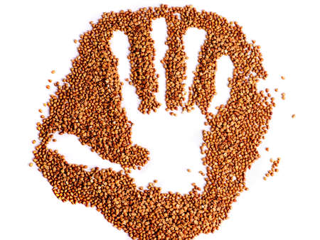 Buckwheat isolated on whiteの写真素材