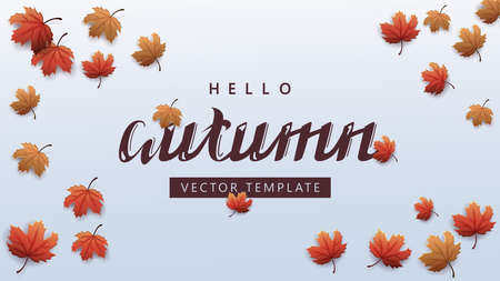 Hello autumn, white background template with maple leafs, top view. Autumn template for your arts...