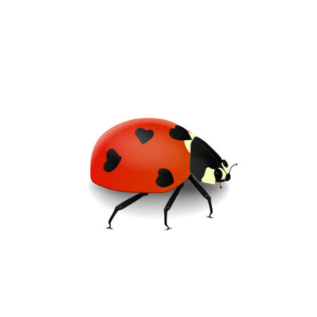 Vector realistic volumetric ladybird with black hearts on she's red back isolated on white backgroundのイラスト素材
