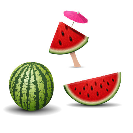Pieces of watermelon isolated on white background for your creativityのイラスト素材