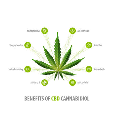 Cannabidiol Benefits, white inphographic poster with icons of benefits and green leafs of hempのイラスト素材