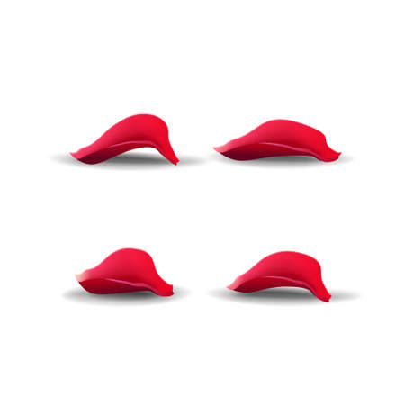 Rose petals isolated on white background for your creativityのイラスト素材