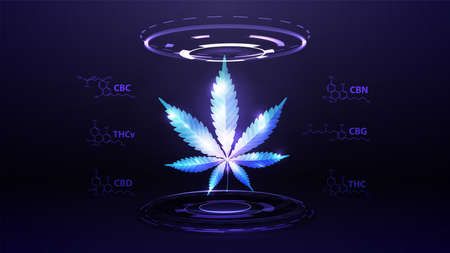 Blue digital hologram of hemp leaf with chemical formulas of natural cannabinoids and digital rings in dark roomのイラスト素材