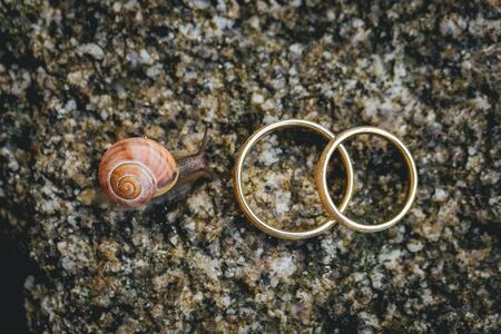 Wedding rings close upの写真素材