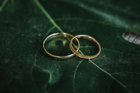Wedding rings close up