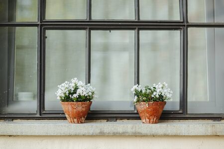 Flower decorationの写真素材
