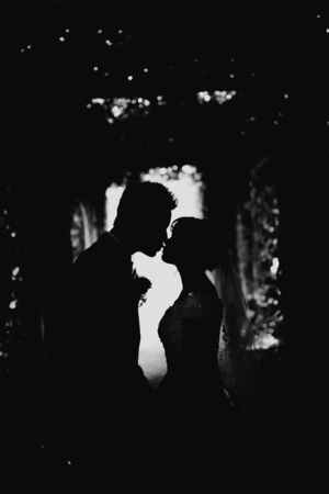 Silhouette of the bride and groomの写真素材