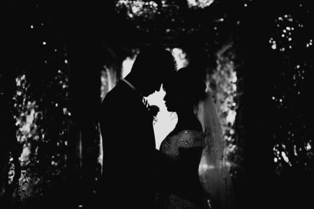 Silhouette of a bride and groom standing togetherの写真素材