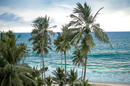 tropicsの写真素材