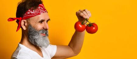 mature man in red bandana, white t-shirt, sunglasses and bracelet. He holding red tomatoes on twigs, sniffing it, posing sideways against orange background. Close up, copy spaceの写真素材