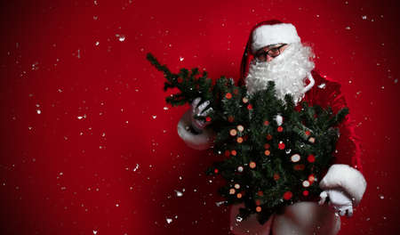 fat belly of Santa Claus is carrying a Christmas tree decorated with red garland lights on a red background, it is snowing. new years eve and christmas.の写真素材