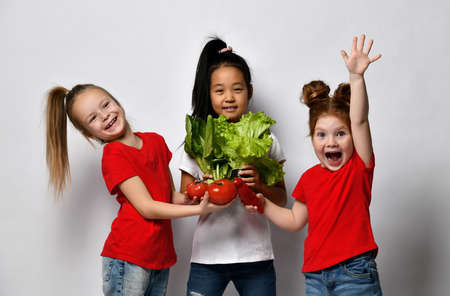 Little girls having fun holding fresh vegetables and lettuce standing on gray background. Cheerful children of different nationalities keep the ingredients for a healthy salad.の写真素材