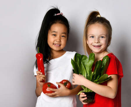 Portrait of two cute little girls holding fresh ingredients for salad standing on gray background.の写真素材