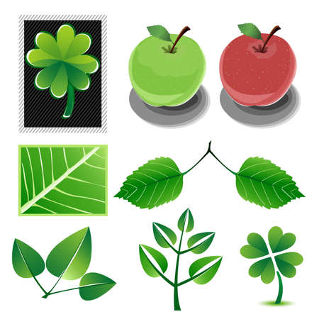 natural collectionのイラスト素材