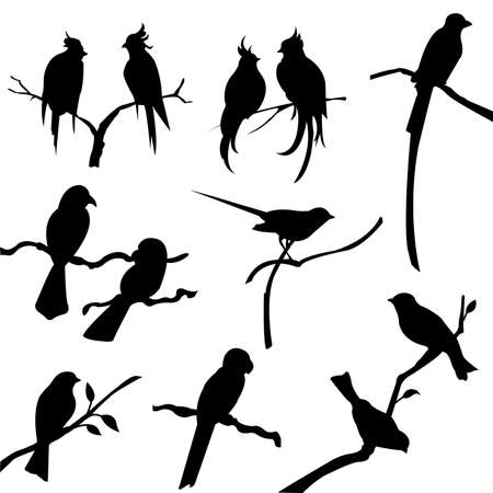 bird silhouettesのイラスト素材