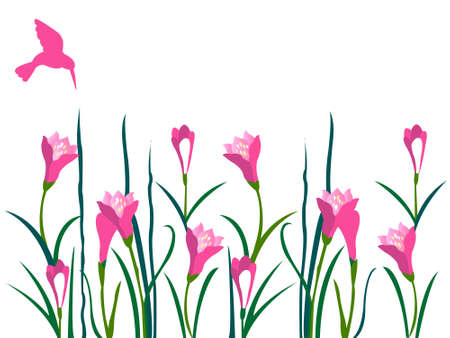 Decorative pink color floral, illustrationのイラスト素材