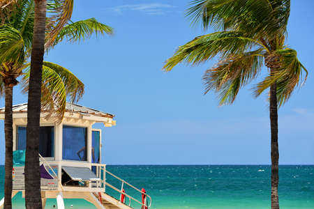 Sunrise Beach in Ft Lauderdale with palm trees and beach entry feature のeditorial素材