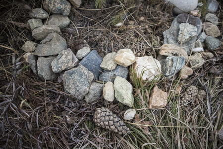 Little stones in the circle on the forestの写真素材