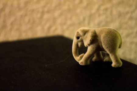 Toy Elephant on a black place of zoomed plastic.の写真素材