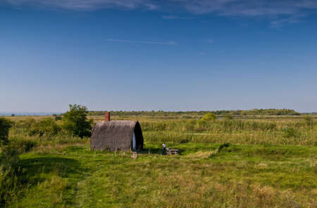 at national park FertÅ-HansÃ¡g/Hungaryの写真素材