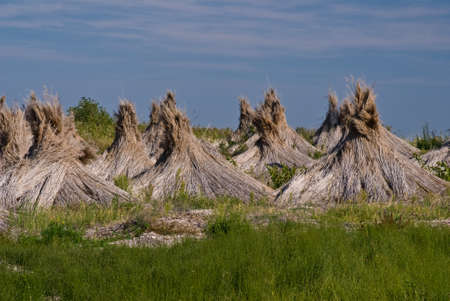 landscape at national park Neusiedler Sea/Austriaの写真素材