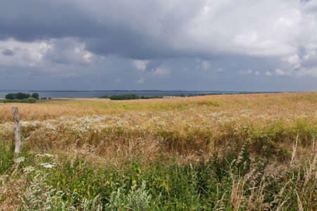 landscape at salzhaff, baltic sea, germanyの写真素材