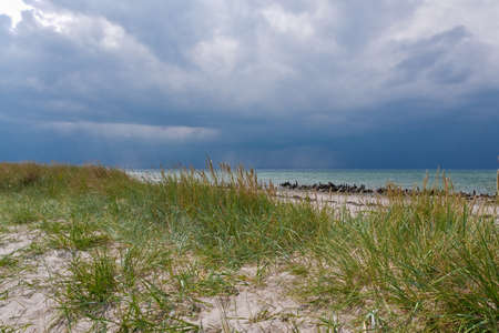thunderstorm at nature protection area Riedensea, Baltic Seaの写真素材