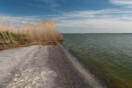 At the Boddstetter Bodden, national park pre-Pomeranian Boddenlandschaft, Germany 