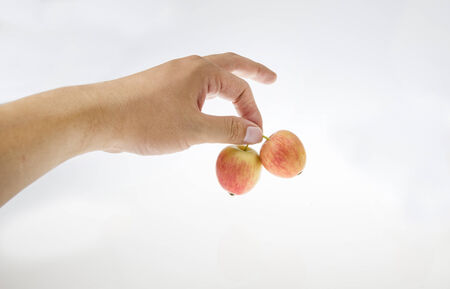 There are two ripe apple in his hand の写真素材