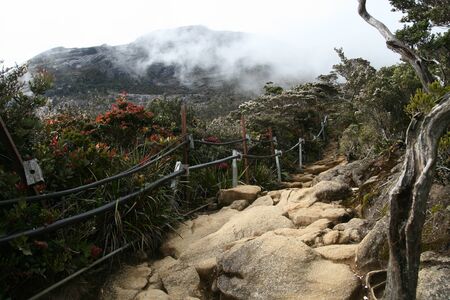 Mount kota kinabalu trekking stone stairs trail surrenden by ancient forestの写真素材