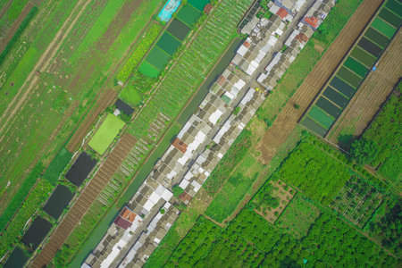 An aerial view showcasing residential areas nestled between rice fields and fish ponds, highlighting...