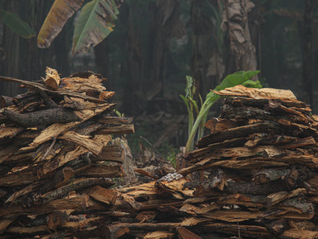 Stacked firewood arranged for storage, evoking a sense of warmth and sustainability.の写真素材