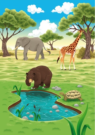 Animals in the nature realistic illustration. のイラスト素材