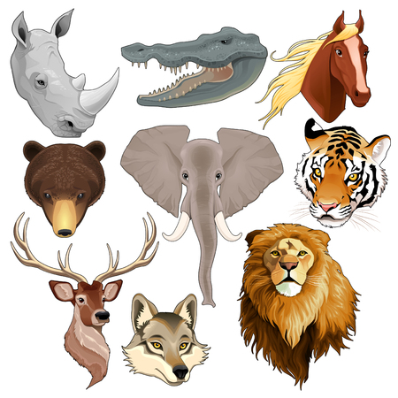 Set of animal heads. Vector isolated elements.のイラスト素材