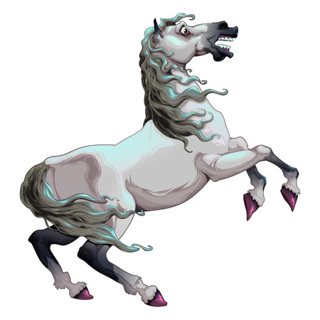 Skittish white horse. Cartoon vector isolated animal.のイラスト素材
