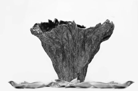 jug concept designの写真素材