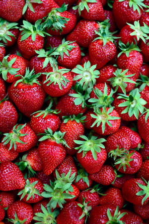 strawberriesの写真素材