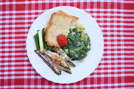 grilled sea fish, salty sprats fish and spinachの写真素材