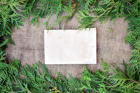 pine leaves around the edges of rustic burlap and old paper