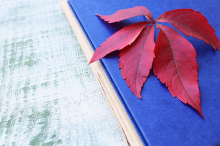 red autumn leaf and old books with blue coversの写真素材