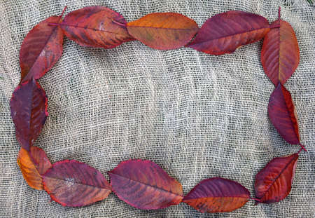 Fall leaves frame over rustic fabric linen