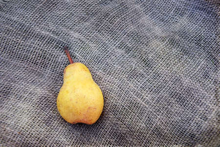 pear, ripe pear on rustic burlapの写真素材