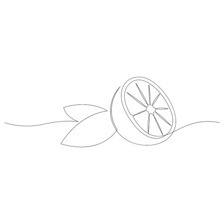 Orange fruit illustration. One continuous line minimal style. Vectorのイラスト素材