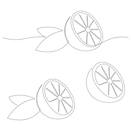 Orange fruit illustration. One continuous line minimal style. Vectorのイラスト素材