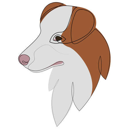 Australian Shepherd vector dog portrait. Continuous line. Dog line drawing with colour.のイラスト素材