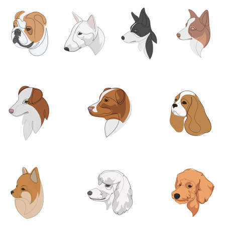 Set of hand drawn line art illustrations of dog characters portraits with colour.のイラスト素材