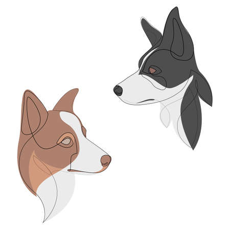 Set of hand drawn line art illustrations of border collie dog characters portraits with colour.のイラスト素材
