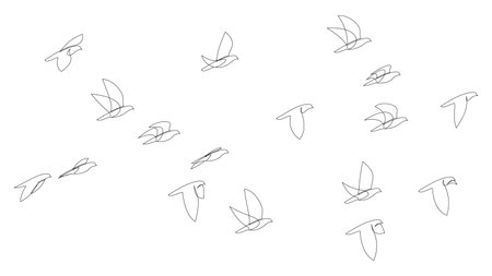 Line drawing of flock of birds flying together. Vector illustration.のイラスト素材
