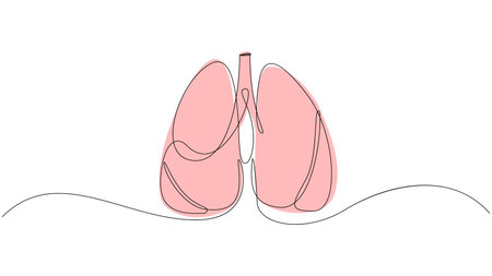 Lungs continuous one line drawing. Hand drawn human organs concept. Trendy single line design. Vector illustration.のイラスト素材
